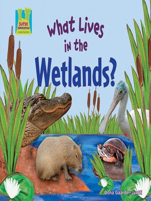 cover image of What Lives in the Wetlands?